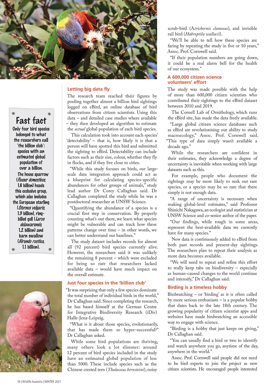 Wildlife Australia Preview Pages