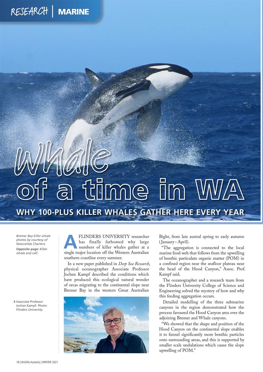 Wildlife Australia Preview Pages