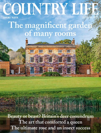 Country Life issue 