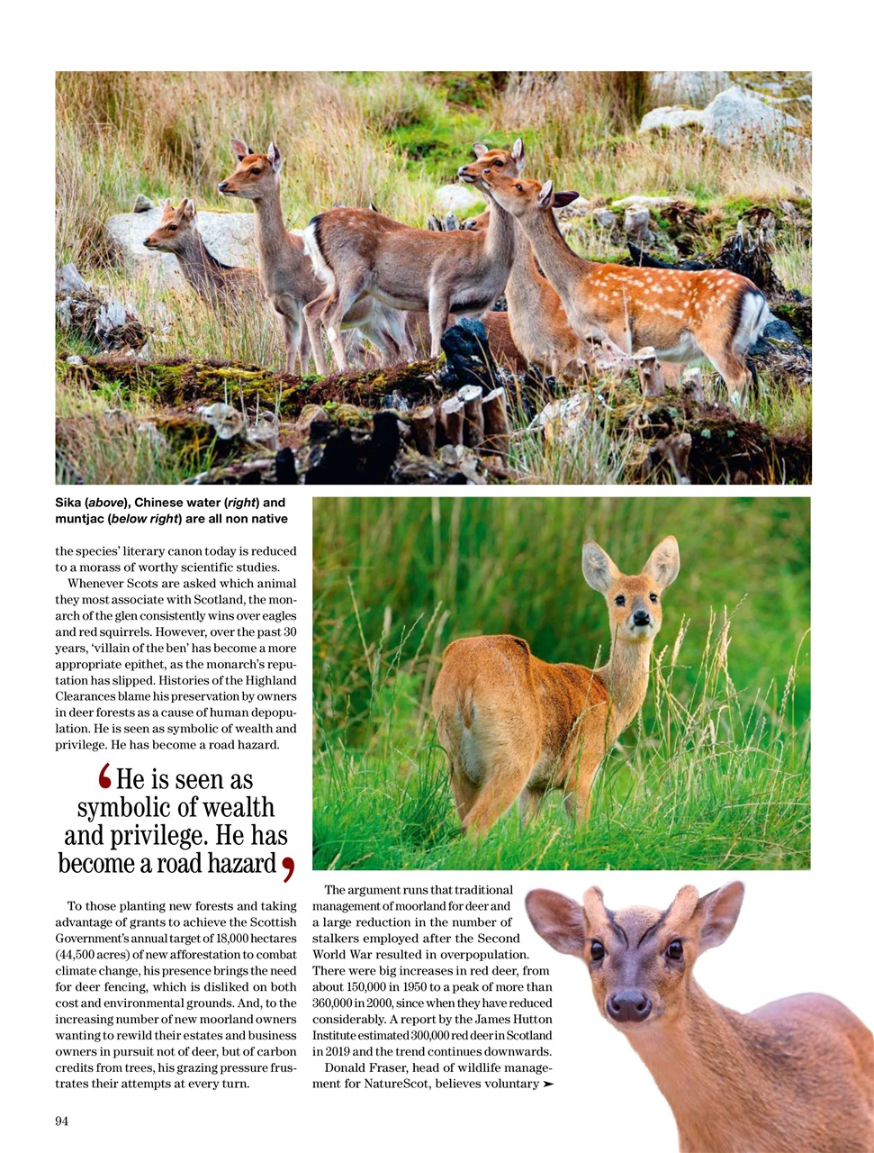 Country Life Preview Pages