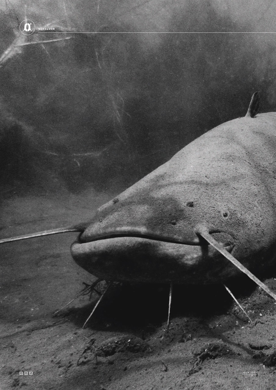 CARPology Magazine Preview Pages