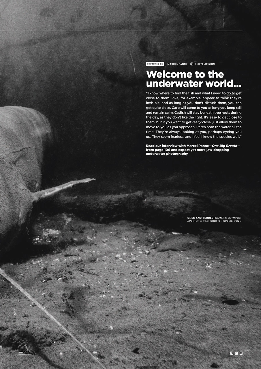 CARPology Magazine Preview Pages