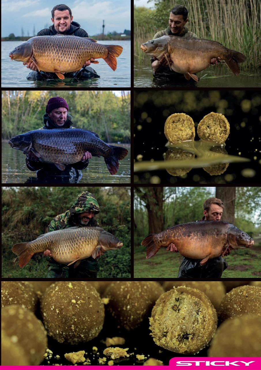 CARPology Magazine Preview Pages