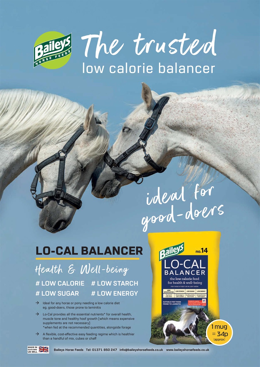 Your Horse Preview Pages