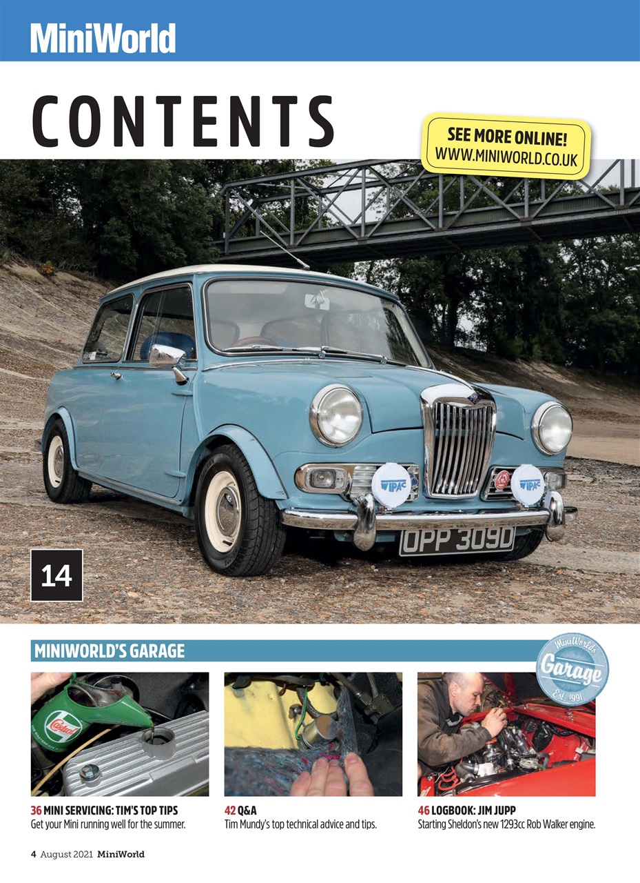 Mini World Preview Pages