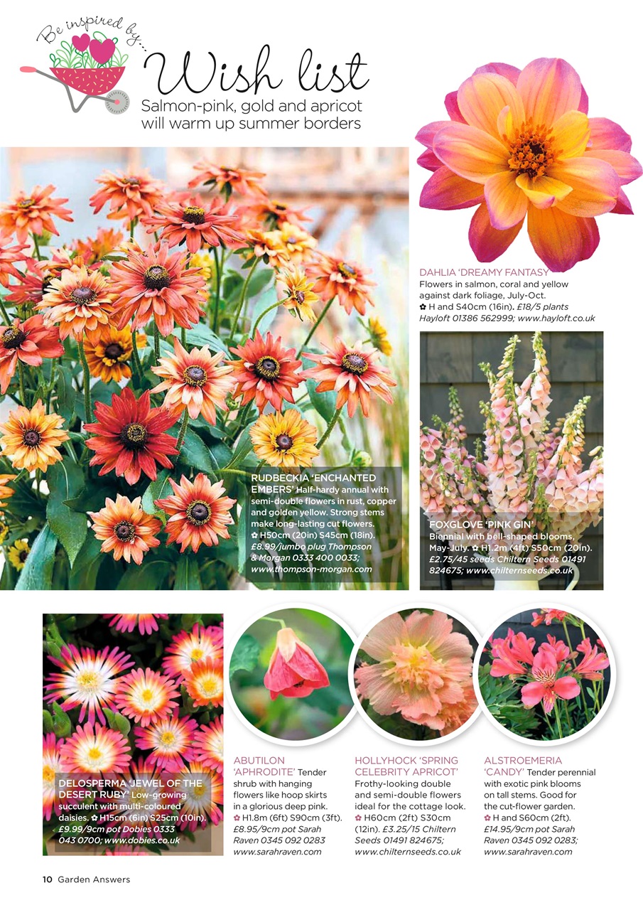 Garden Answers Preview Pages