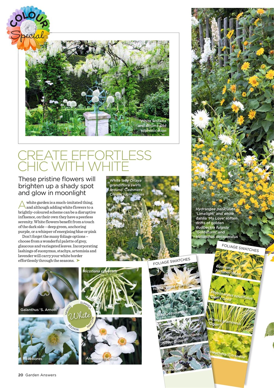 Garden Answers Preview Pages