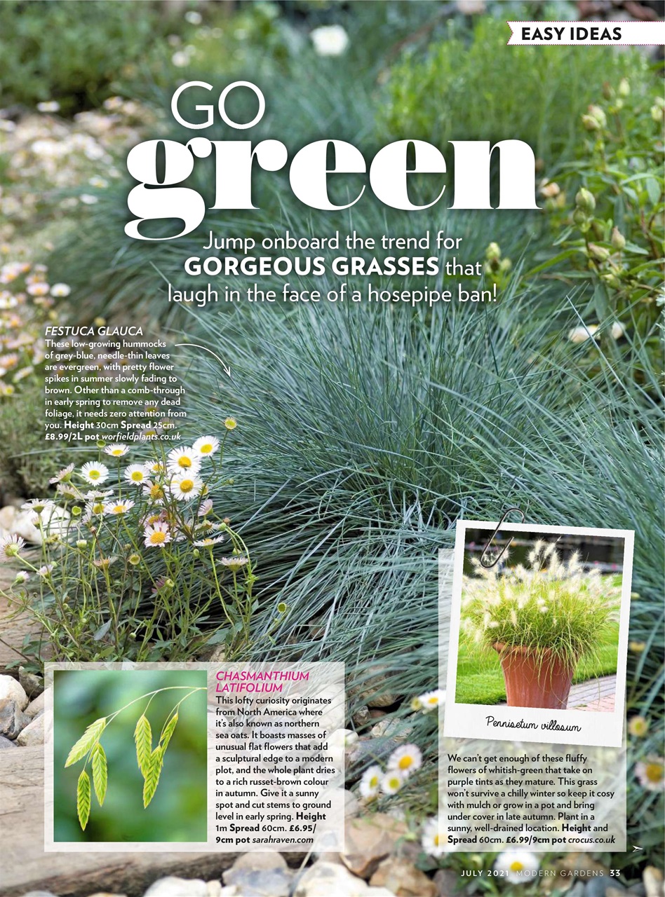 Modern Gardens Preview Pages