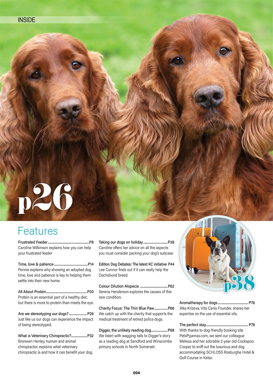 Edition Dog Preview Pages