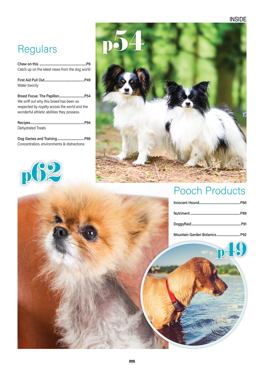 Edition Dog Preview Pages