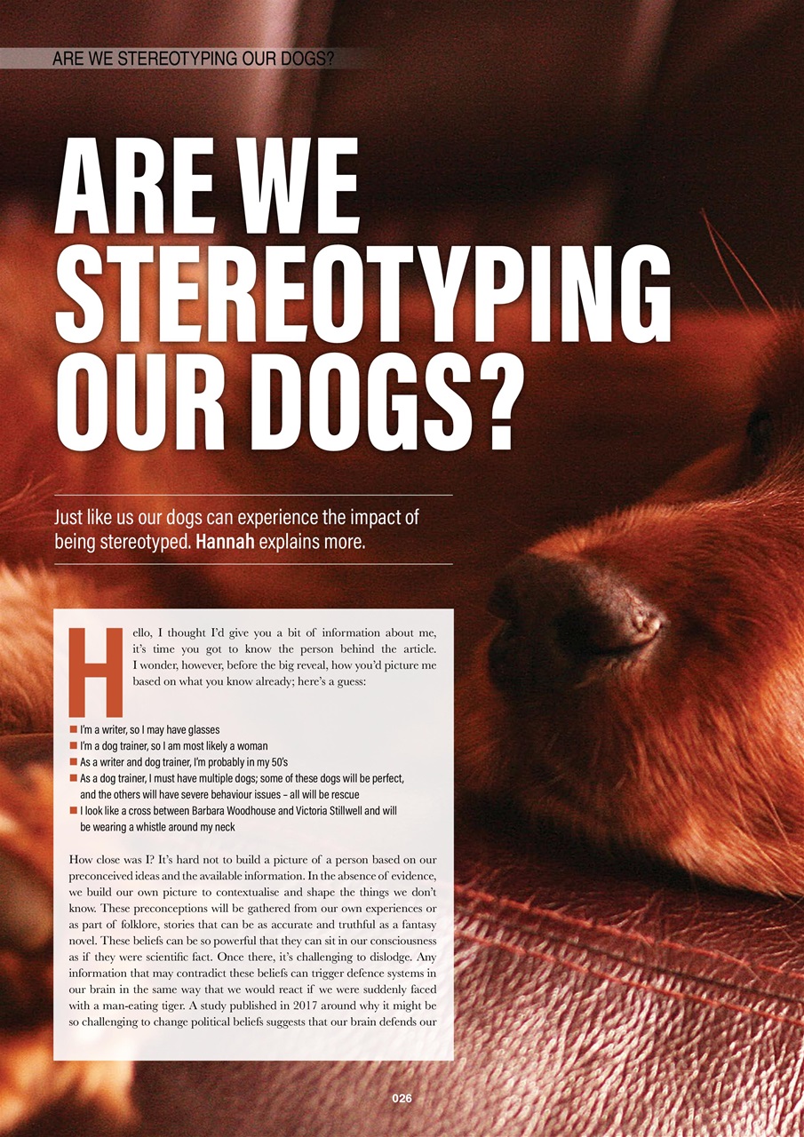 Edition Dog Preview Pages