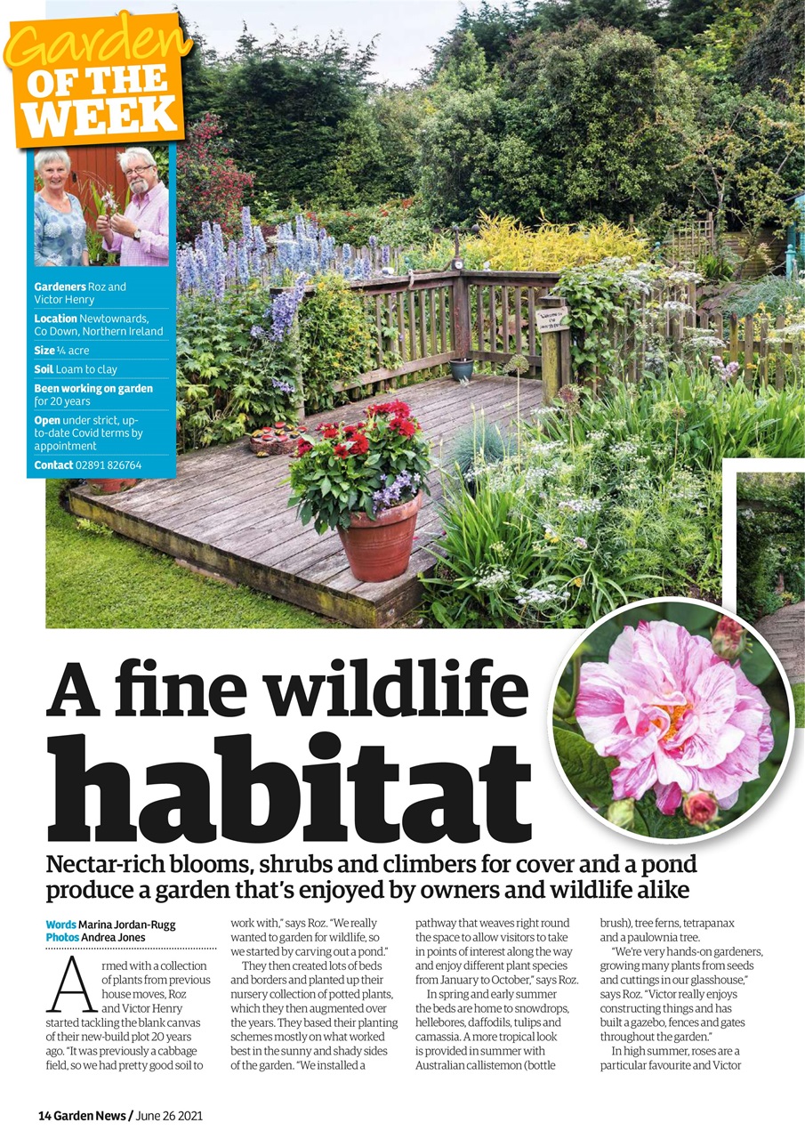 Garden News Preview Pages