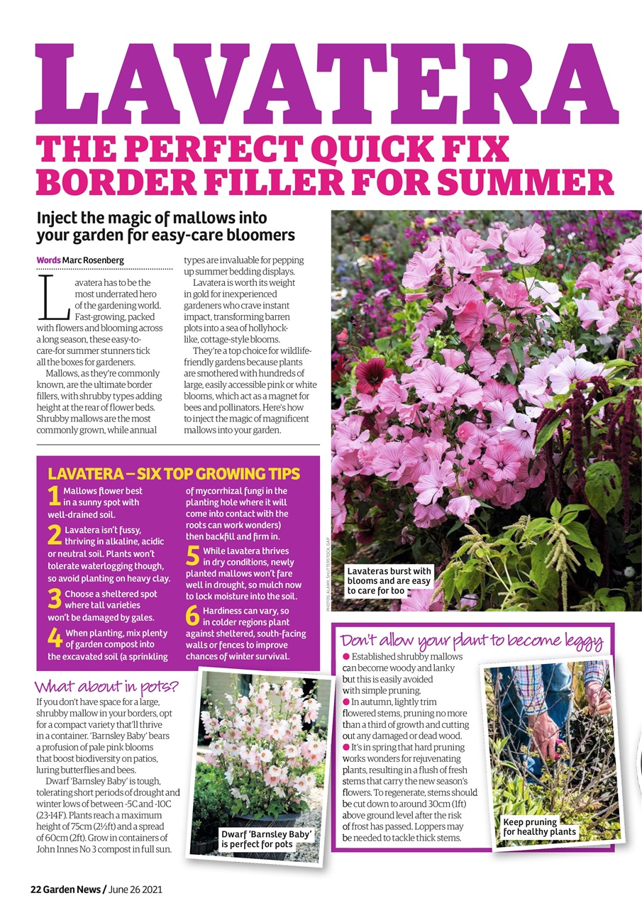 Garden News Preview Pages