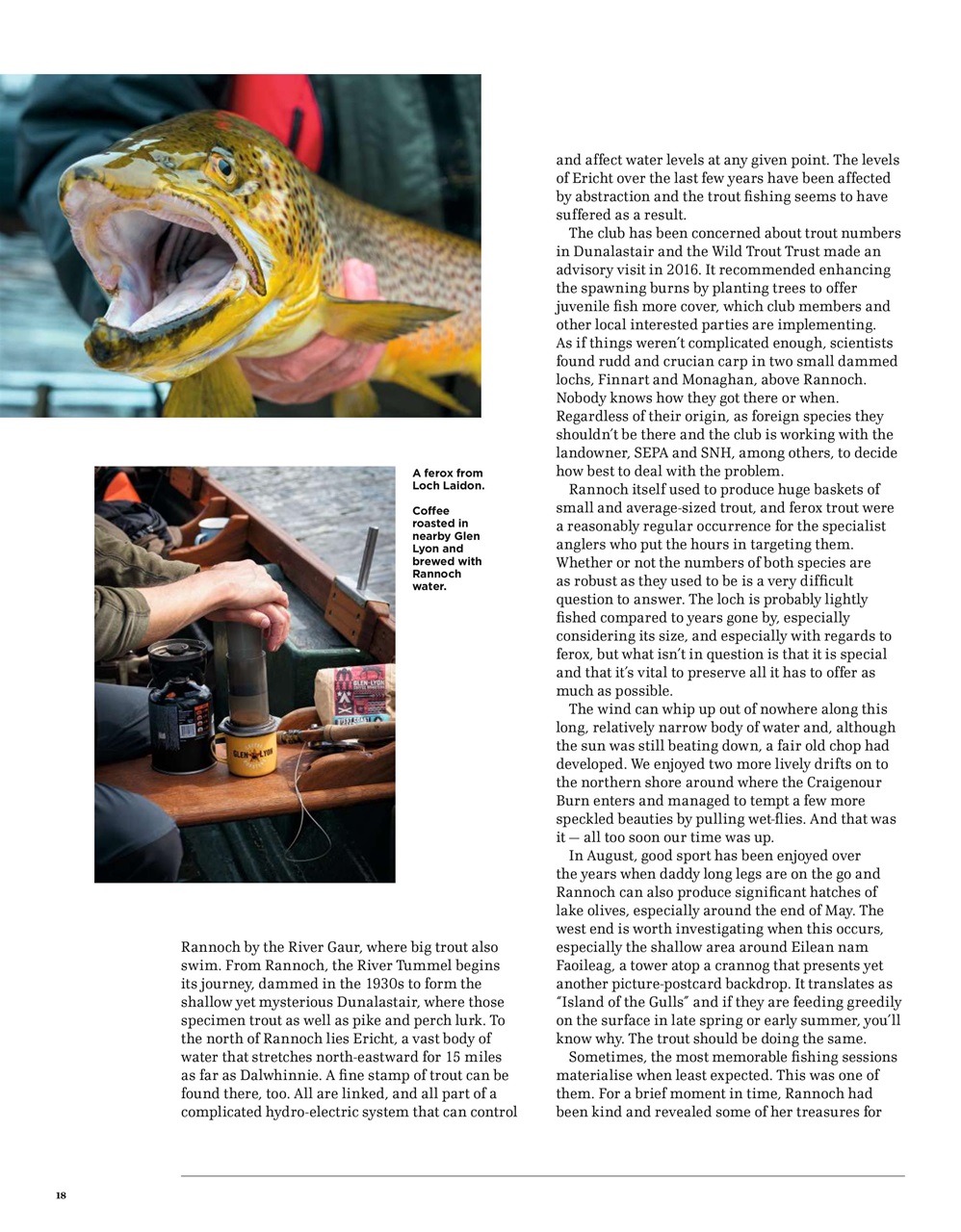 Trout & Salmon Preview Pages