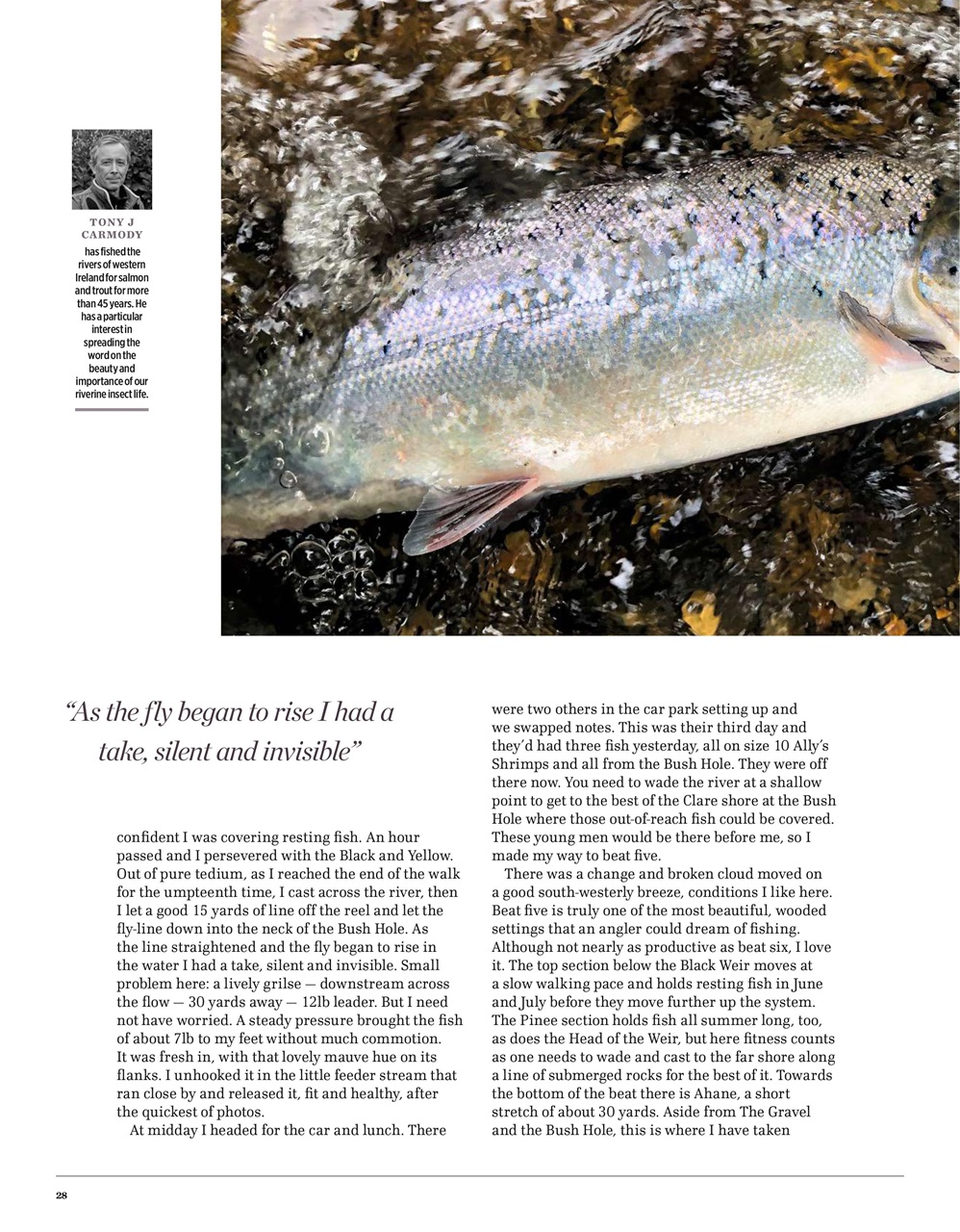 Trout & Salmon Preview Pages