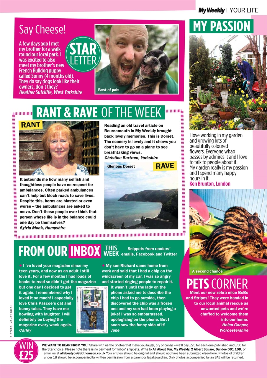 My Weekly Preview Pages