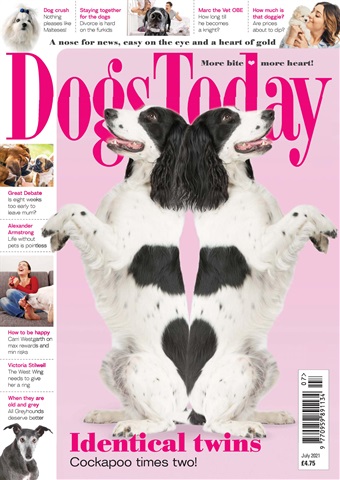 Dogs Today Magazine issue July 2021