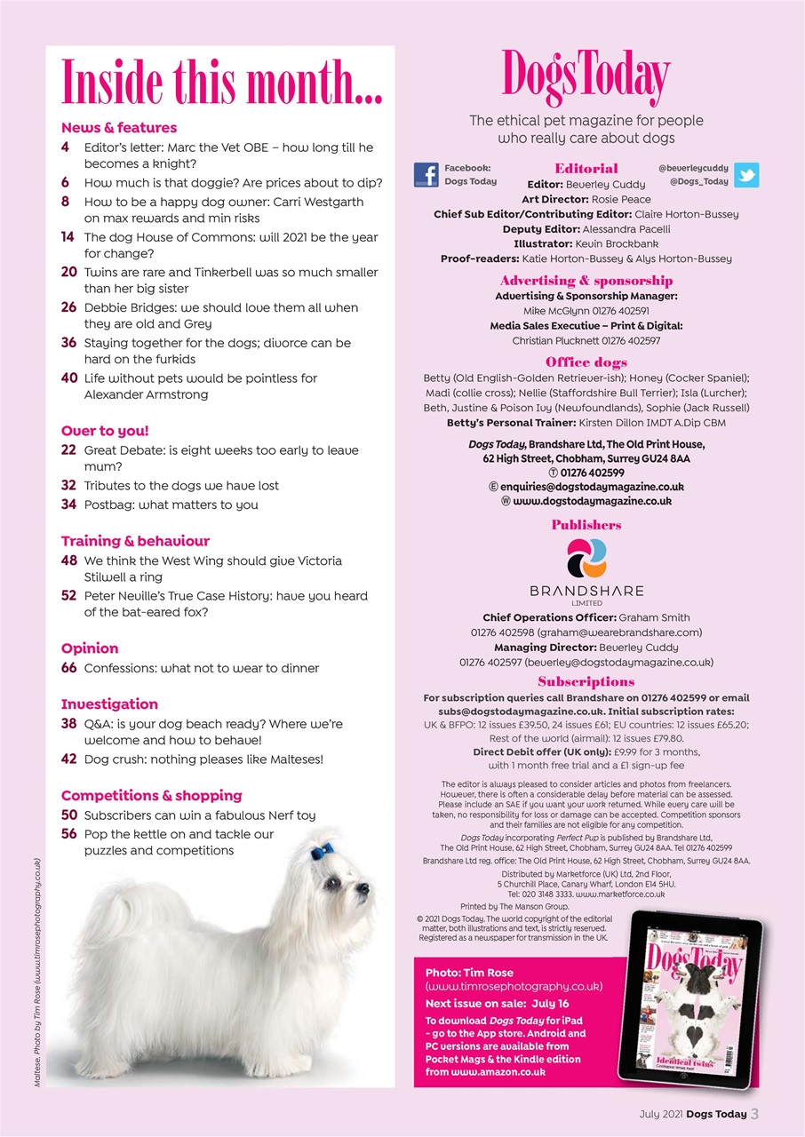 Dogs Today Magazine Preview Pages
