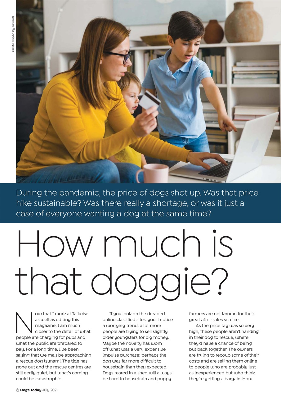 Dogs Today Magazine Preview Pages