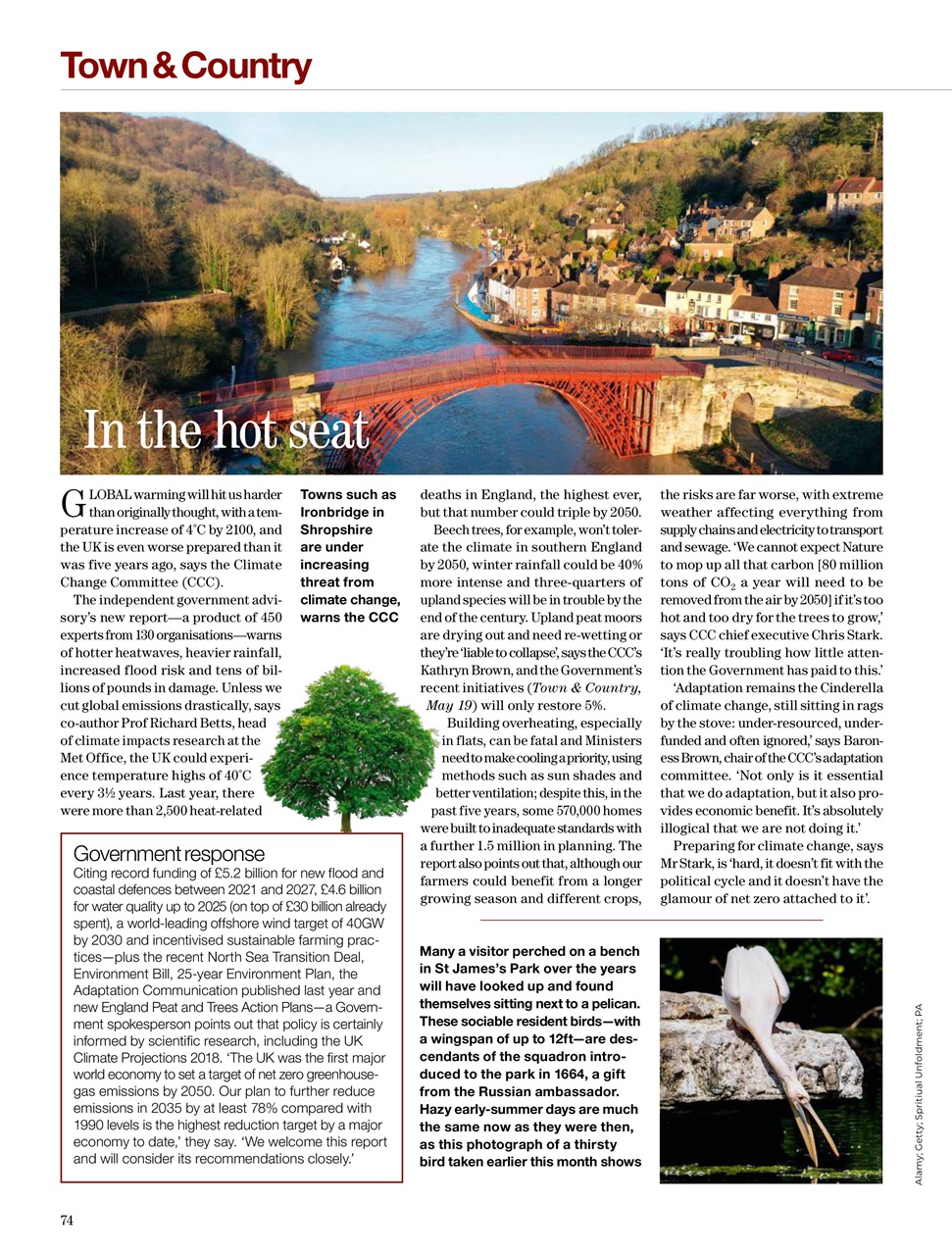Country Life Preview Pages
