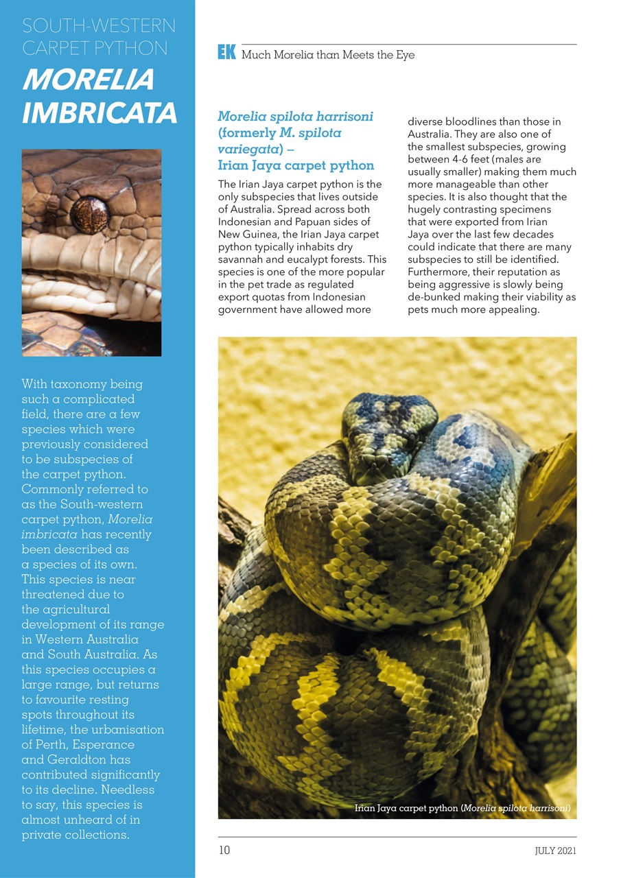 Exotics Keeper Preview Pages