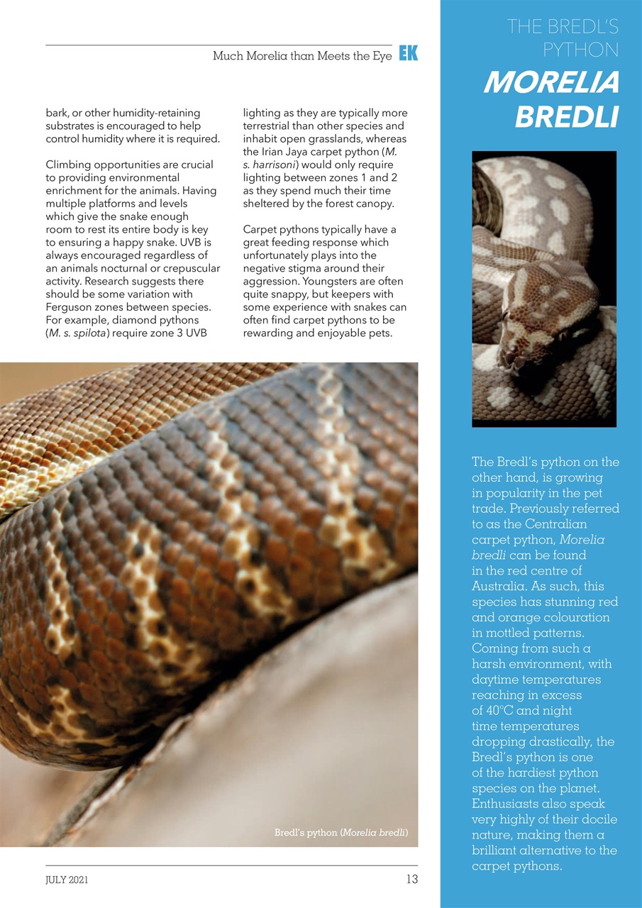 Exotics Keeper Preview Pages