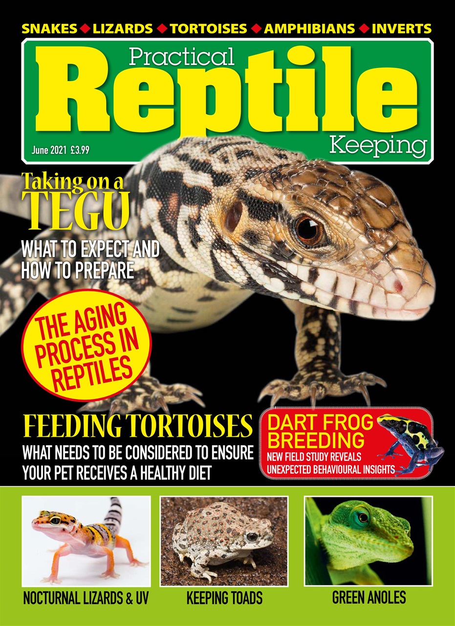 Practical Reptile Keeping Preview Pages