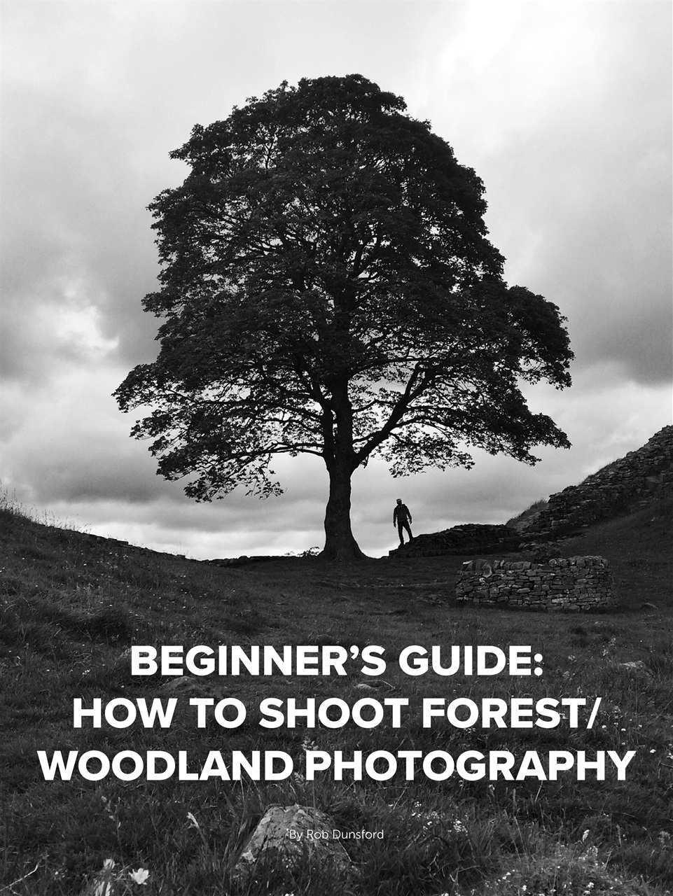 Mobiography Preview Pages