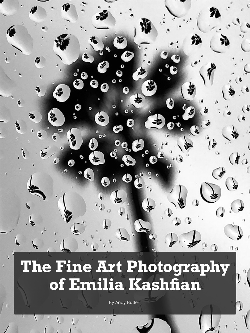 Mobiography Preview Pages