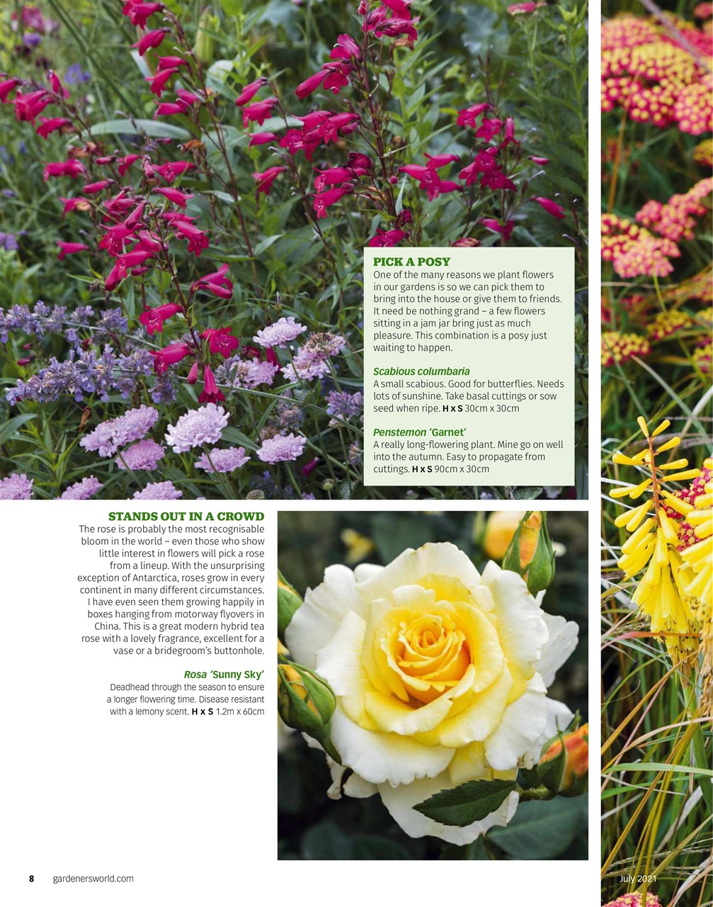 BBC Gardeners’ World Magazine Preview Pages