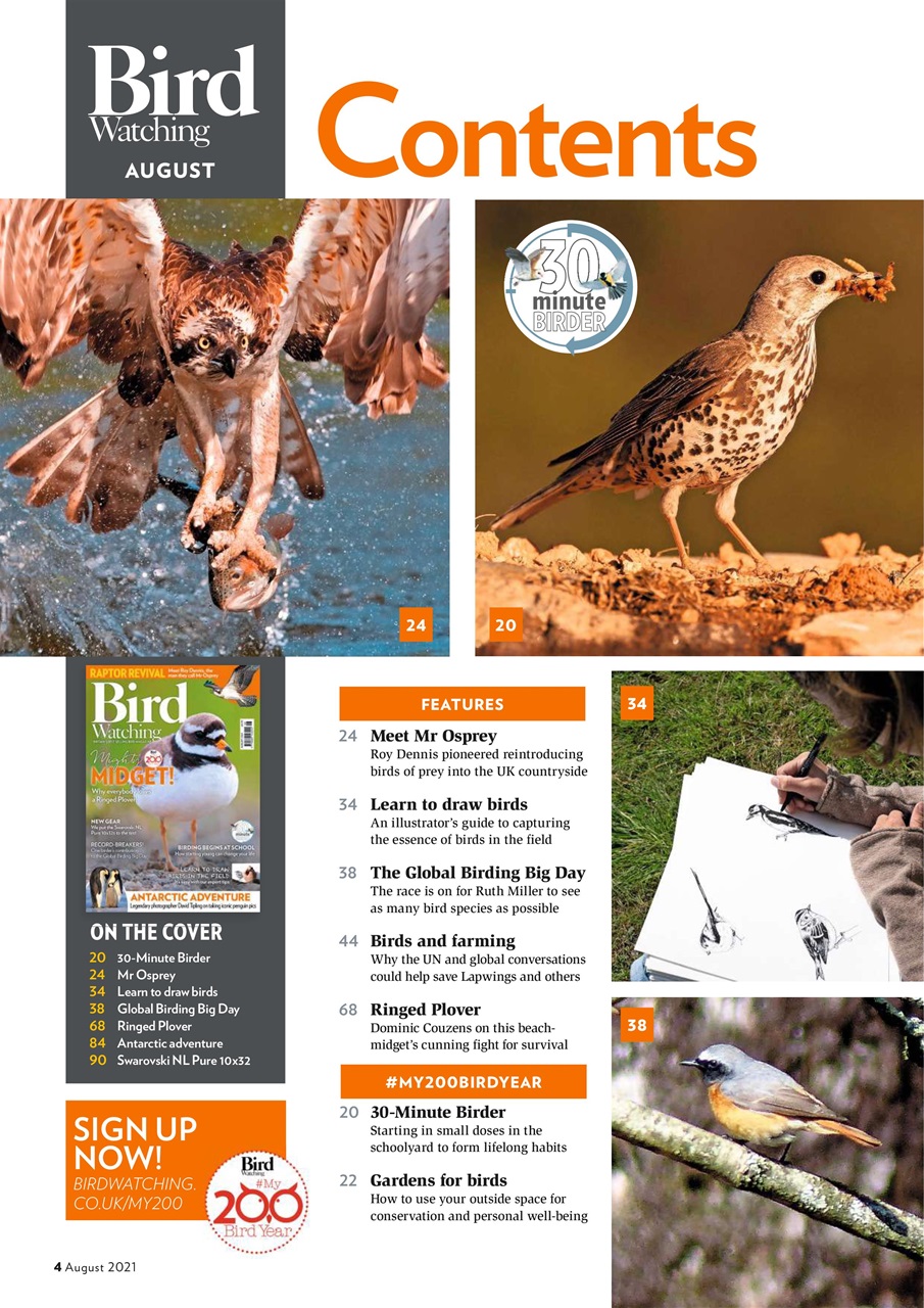 Bird Watching Preview Pages