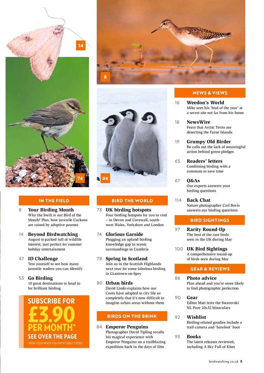 Bird Watching Preview Pages