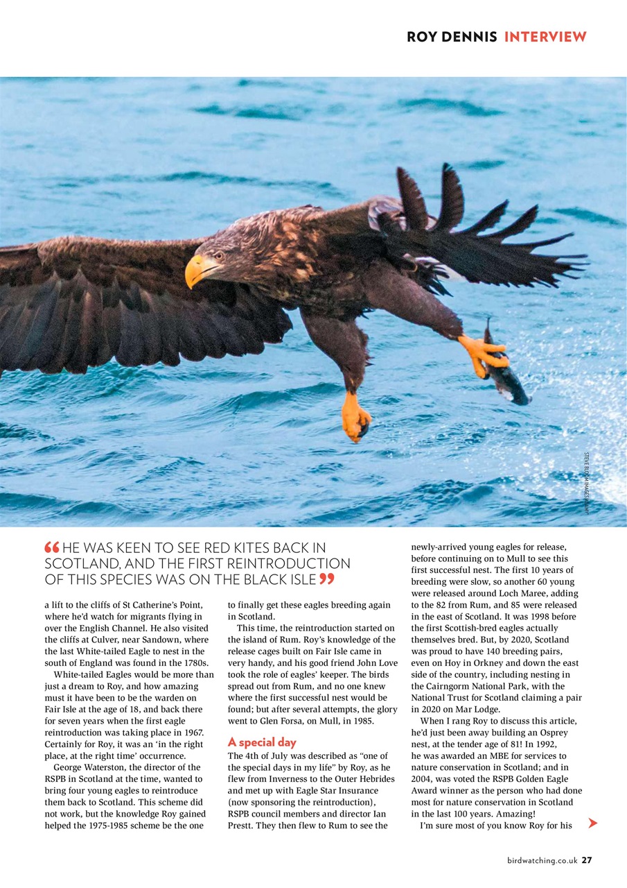 Bird Watching Preview Pages