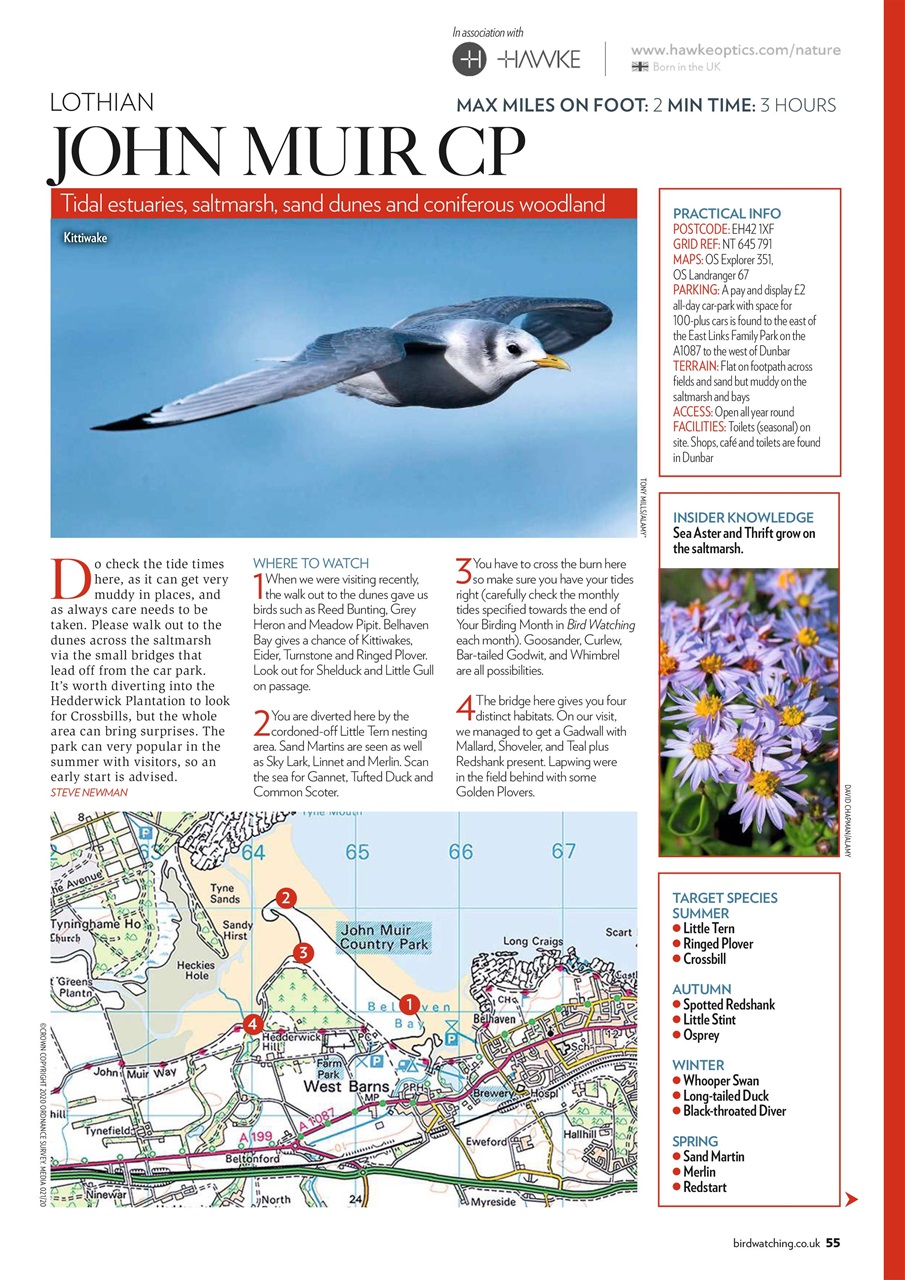 Bird Watching Preview Pages
