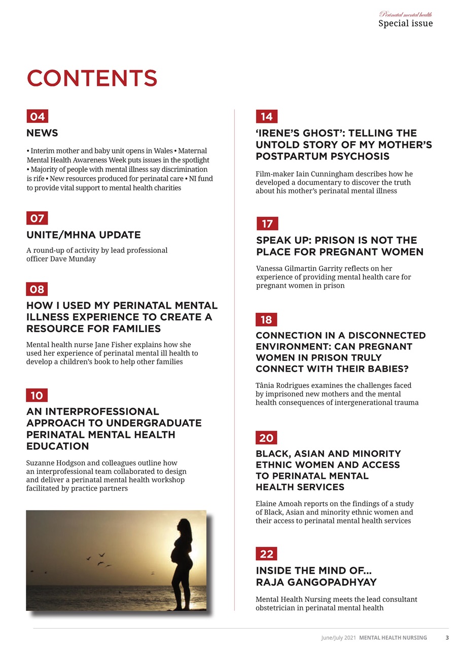 Mental Health Nursing Preview Pages