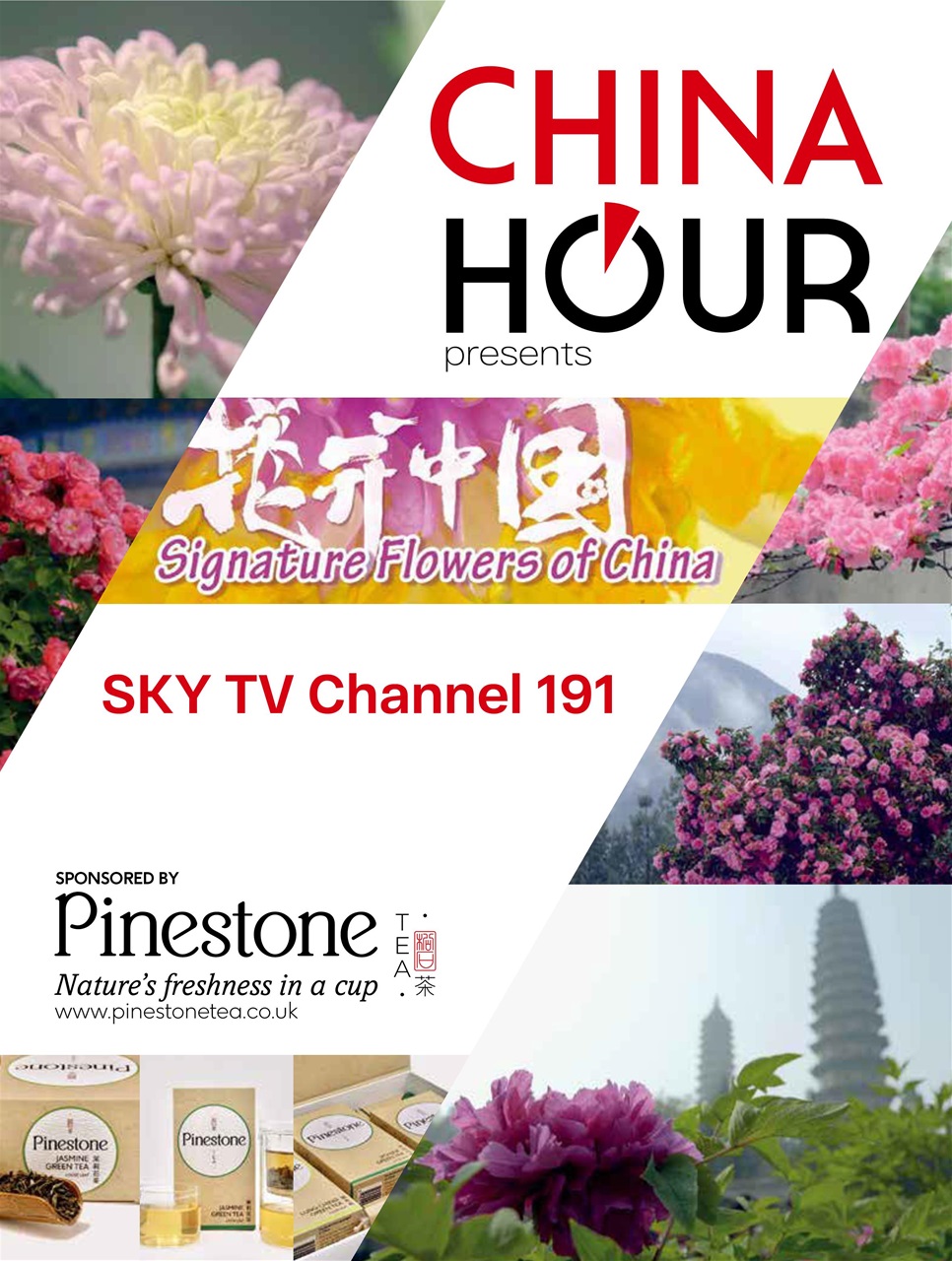 China Report Preview Pages