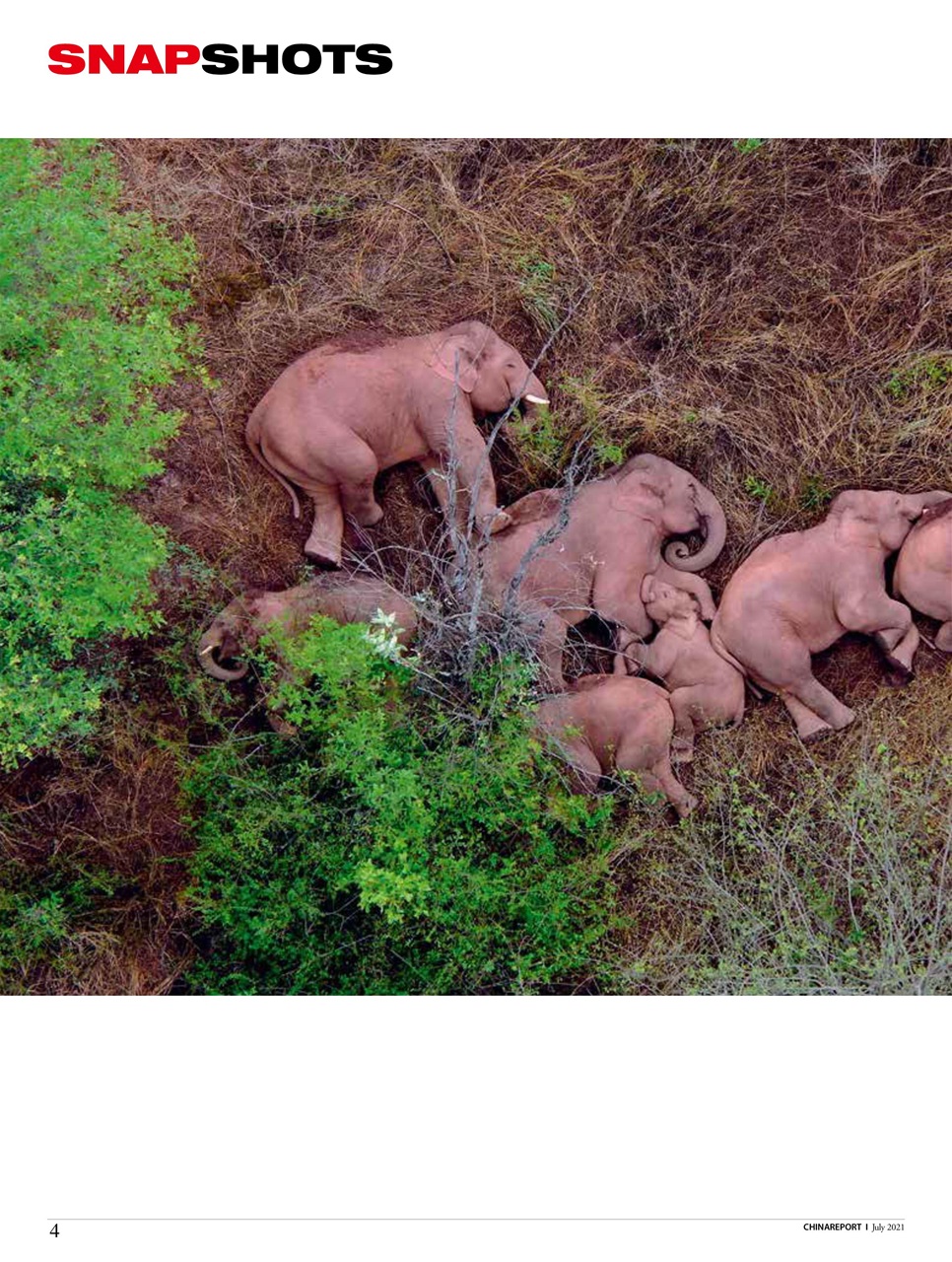 China Report Preview Pages