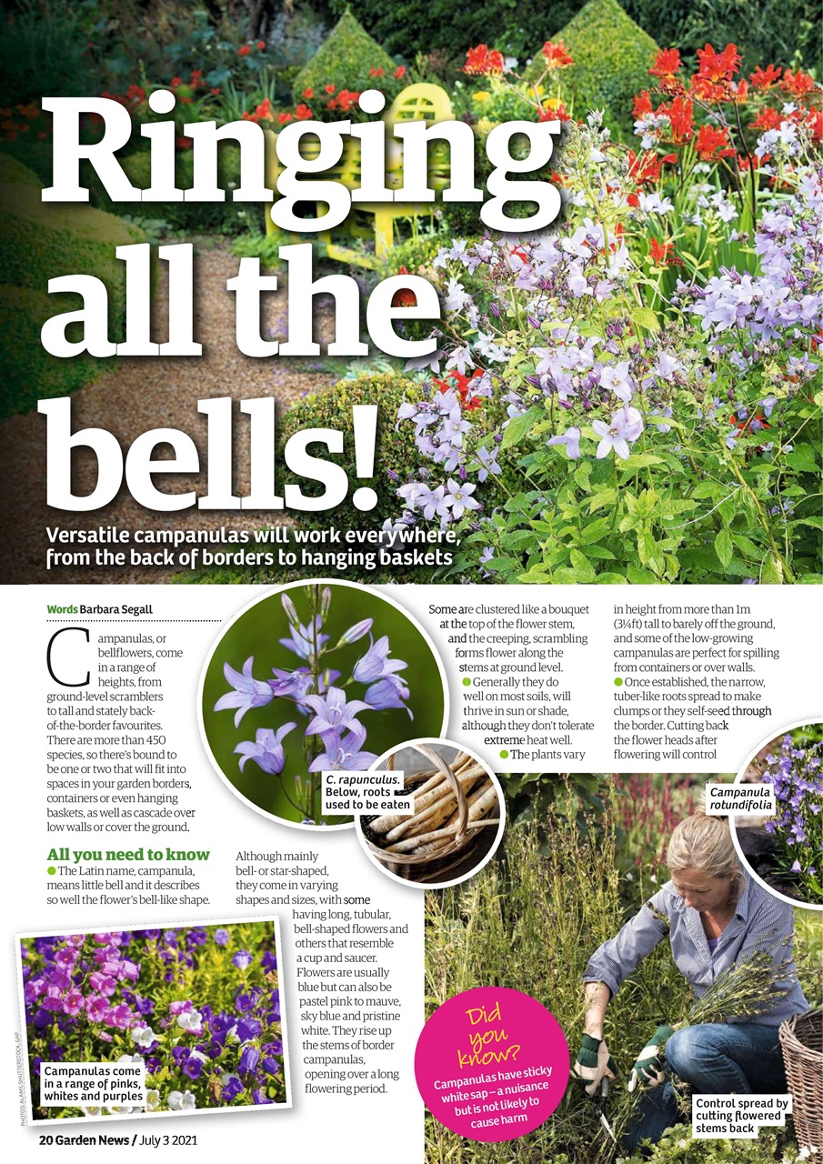Garden News Preview Pages