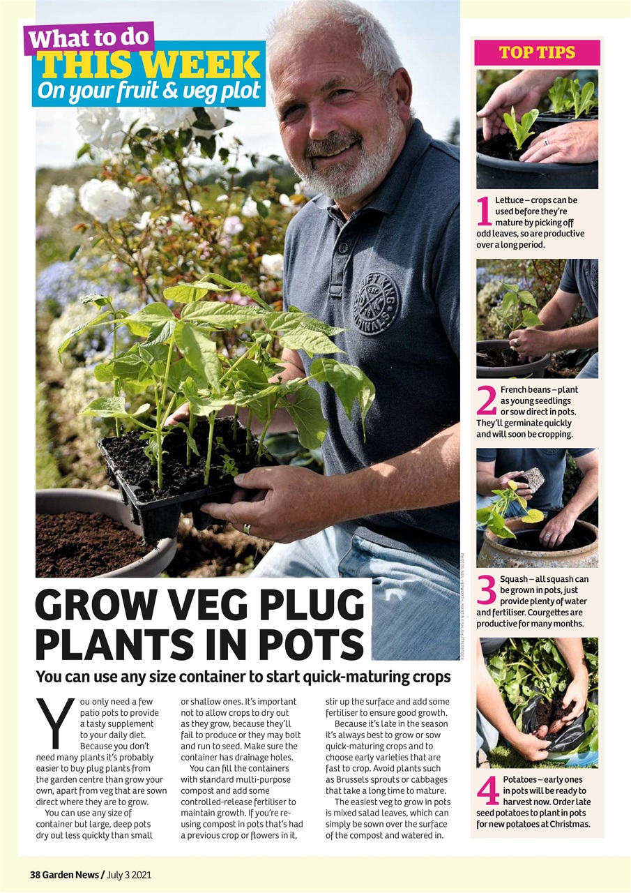 Garden News Preview Pages