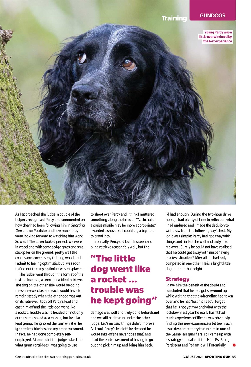 Sporting Gun Preview Pages