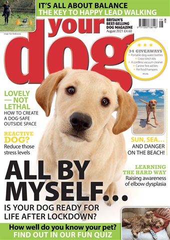Your Dog issue Your Dog Magazine August 2021