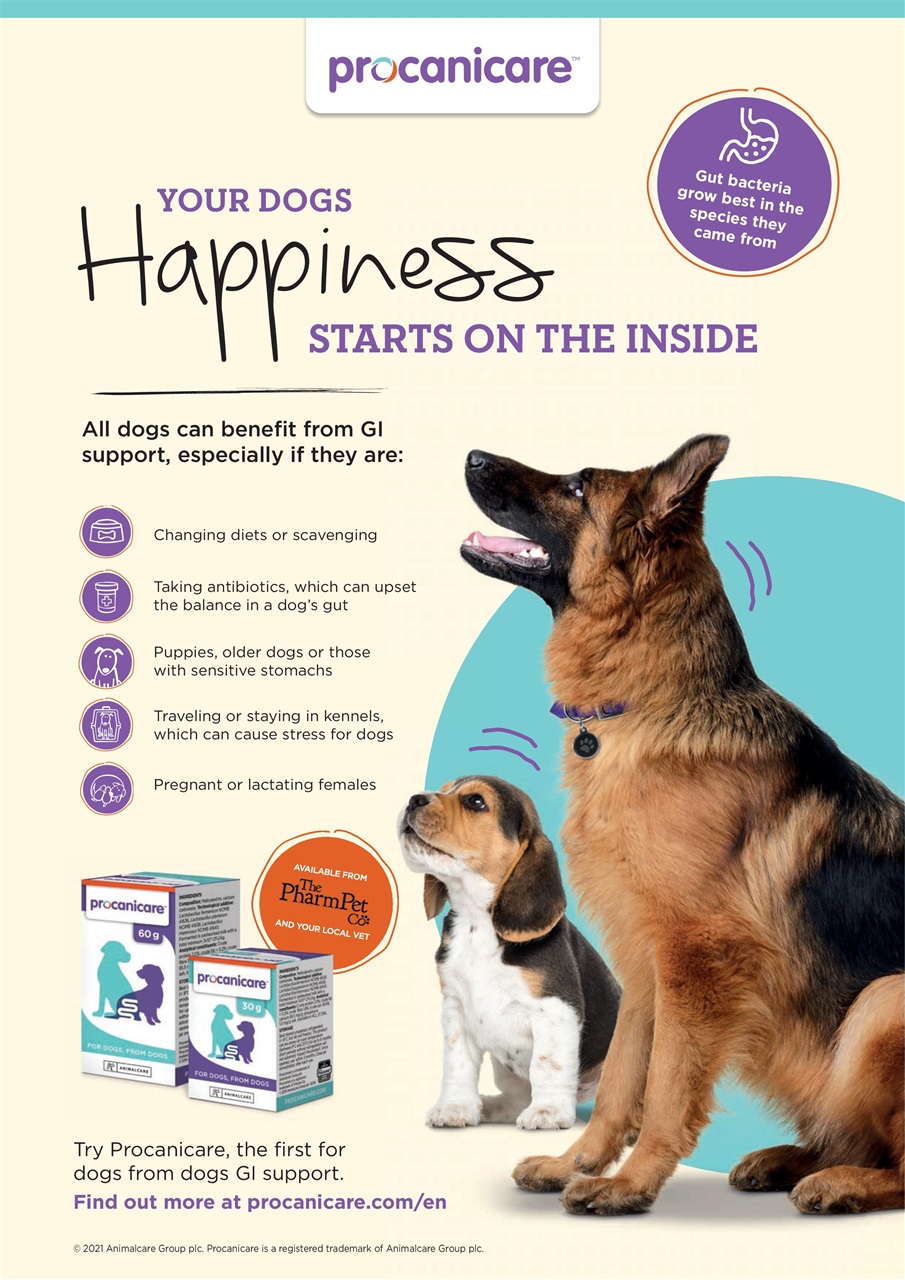 Your Dog Preview Pages