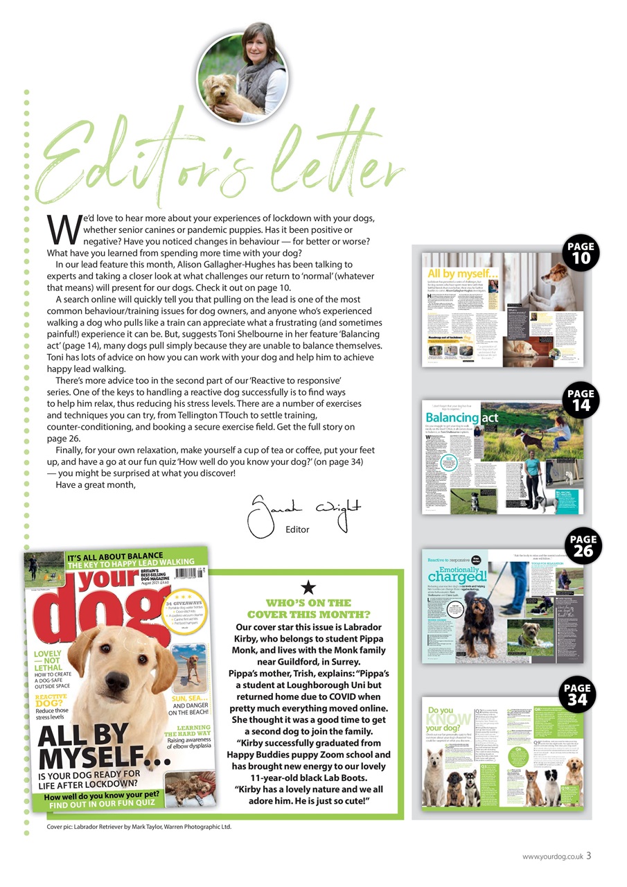 Your Dog Preview Pages