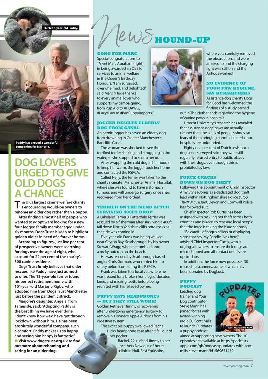 Your Dog Preview Pages