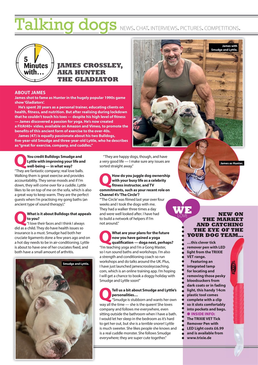 Your Dog Preview Pages