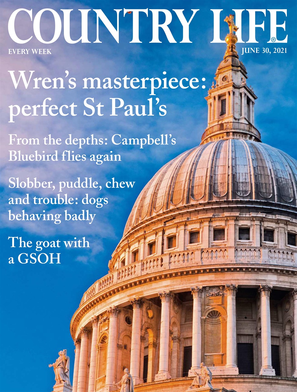 Country Life Preview Pages
