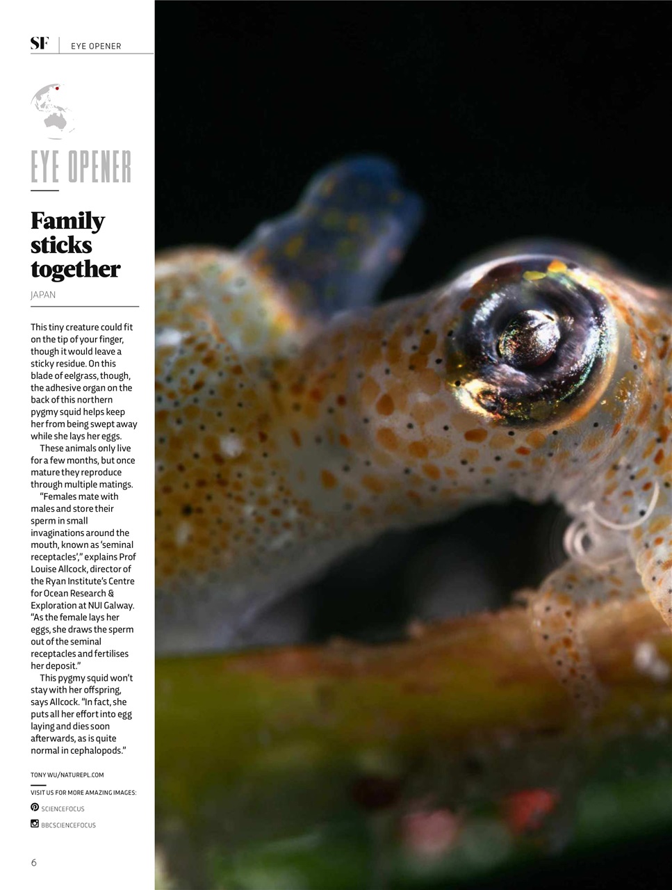 BBC Science Focus Magazine Preview Pages