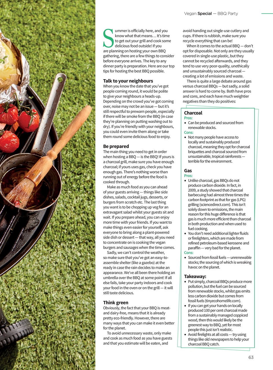 Vegan Life Preview Pages