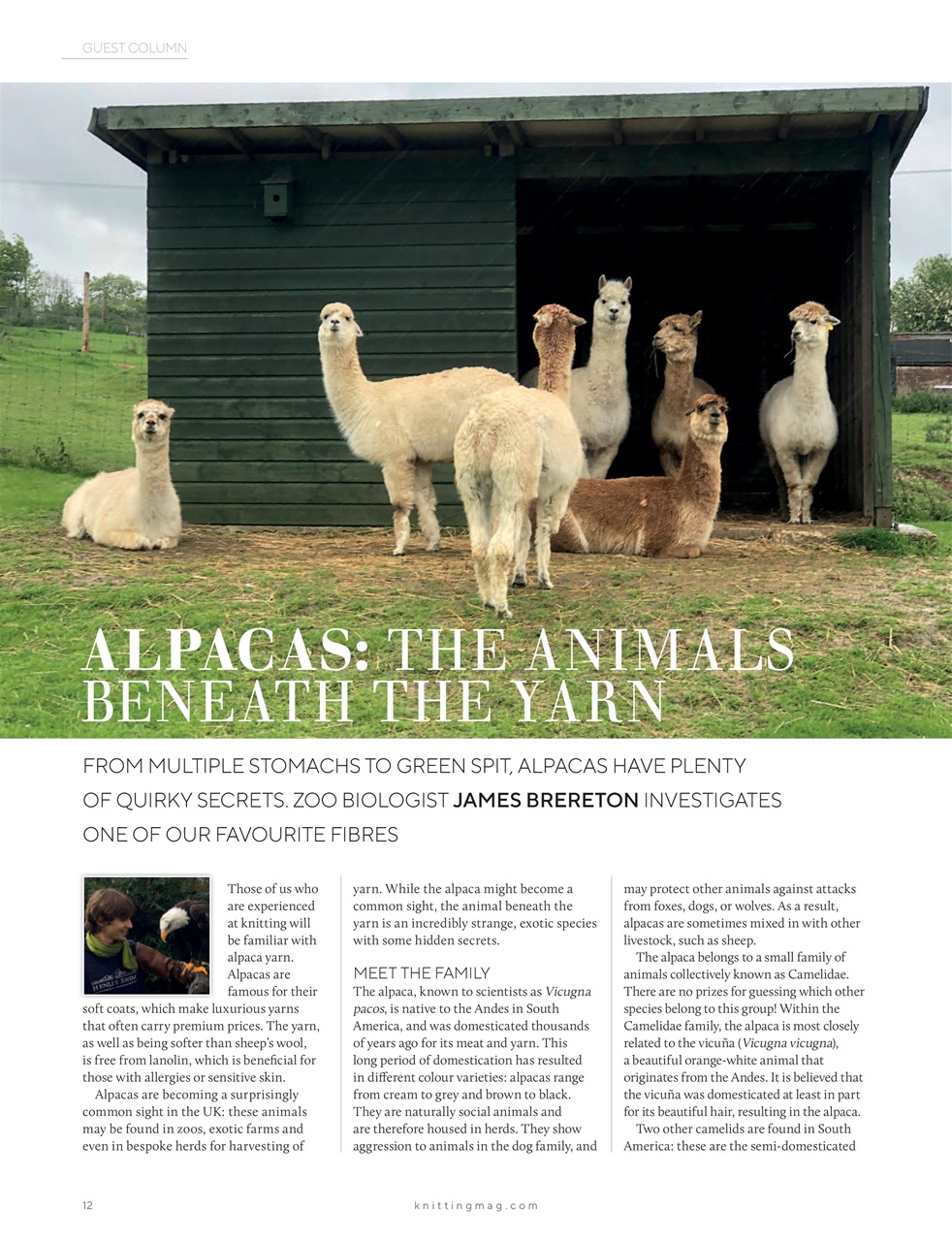 Knitting Preview Pages