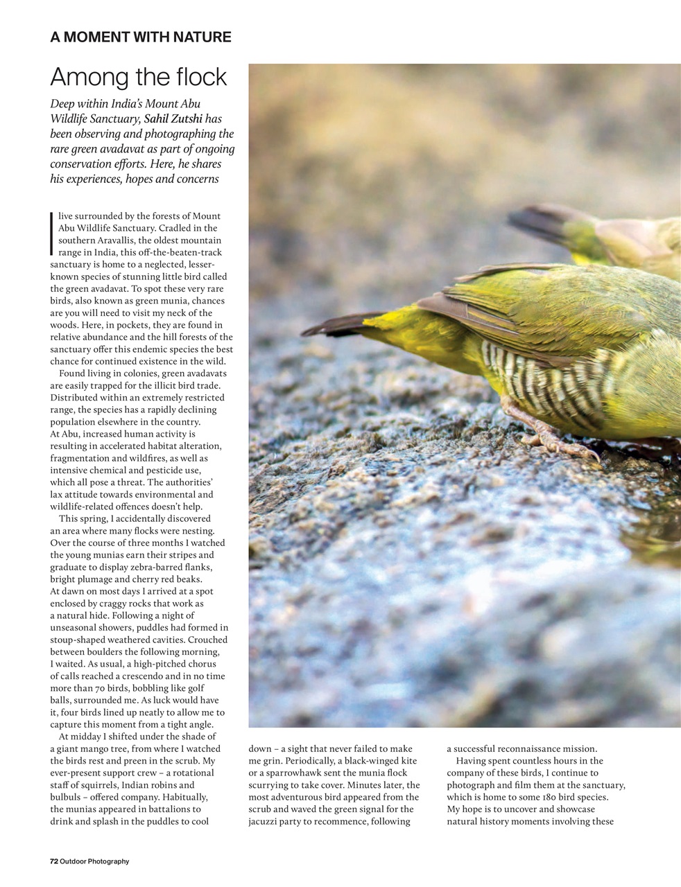 Outdoor Photography Preview Pages